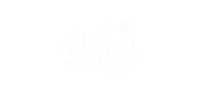 Gokul Namkeen