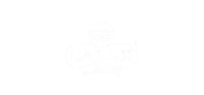 Balaji Wafers