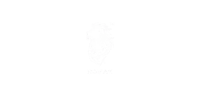 Romak Watches