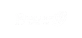 Bhagyoday Metals